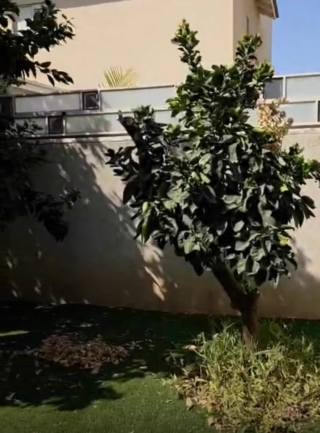 ניקוי והכנה לחורף